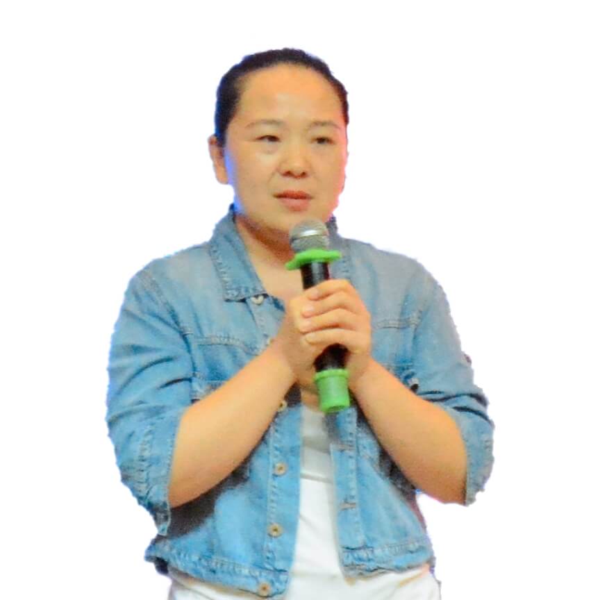 傲馬系統集團 傲馬系統集團